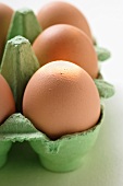 Brown eggs in green egg box