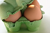 Braune Eier im grünen Eierkarton