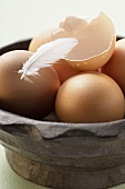 Brown eggs, eggshell and feather in wooden bowl