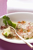 Carpaccio of raw shrimps with limes and coriander leaves