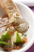 Carpaccio of raw shrimps with limes and coriander leaves