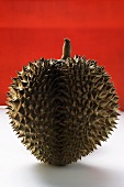Durian on red and white background