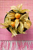 Physalis with calyxes in a bowl