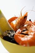 Shrimps and mussels in bowl with ice cubes