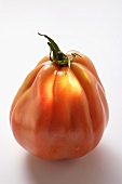 Eine Tomate (stehend)
