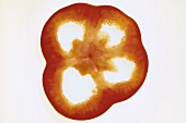 Slice of red pepper, backlit