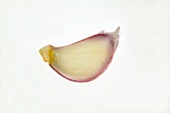 Piece of red onion, backlit