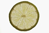 Slice of lime, backlit