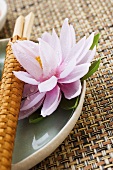 Place setting with water lily and chopsticks (Asia)