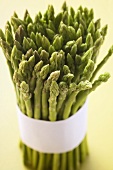 Green Asparagus Bundled