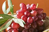 Red grapes in bowl