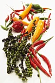 Bunches of green pepper and various chili peppers