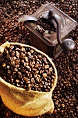 Kaffeebohnen im Sack und in alter Kaffeemühle