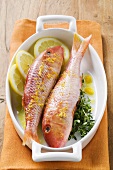 Red mullet with lemon sauce and thyme