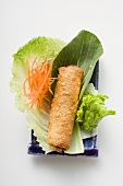 Spring roll on salad (China)