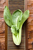 Pak choi with drops of water