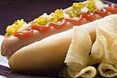 Hot Dog mit Relish, Ketchup, Zwiebeln und Chips