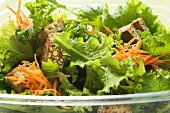 Salad leaves with carrots and croutons