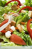 Salad leaves with vegetables and croutons to take away