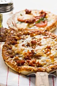 Mini-pizza with mince and cheese on server