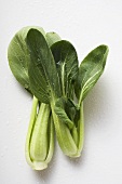 Pak choi with drops of water