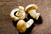 Three shiitake mushrooms