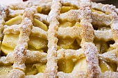 Apple tart with pastry lattice (detail)