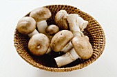 Fresh shiitake mushrooms in basket