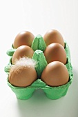 Six brown eggs in egg box