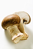 Shiitake mushroom, halved