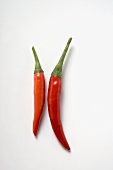 Two red chili peppers