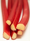 Several sticks of rhubarb