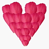 Herz aus rosa Rosenblütenblättern