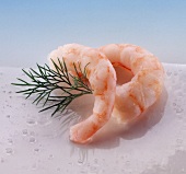 Two raw shrimps with dill