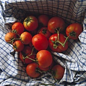 Many Home-grown Tomatoes on checkered Cloth