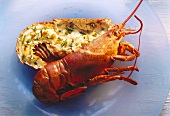 Halved stuffed lobster on a blue plate