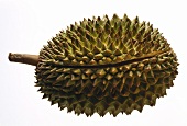 A Single Durian