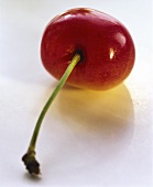 A Single White Cherry Laying on Its Side