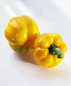 Two yellow peppers on white background