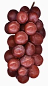 Red grapes