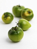 Fünf grüne Tomaten