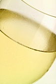 White wine glass with condensation (close-up)