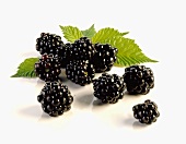 Mehrere Brombeeren