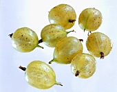 Several gooseberries