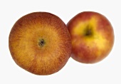 Two 'Pink Lady' apples