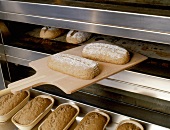 Brotlaibe werden in eine Ofen geschoben