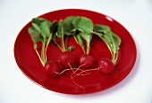 Four radishes on red plate