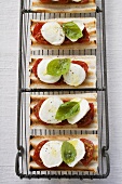 Gegrilltes Brot mit Tomaten, Mozzarella und Basilikum