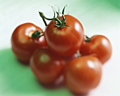 Tomaten