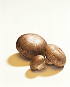 Three chestnut mushrooms